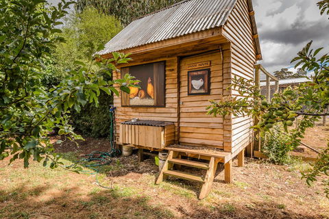 Glencoe Country Bed And Breakfast - Accommodation NSW 34