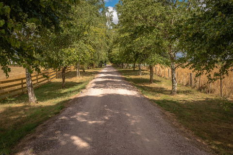 Glencoe Country Bed And Breakfast - Accommodation NSW 37