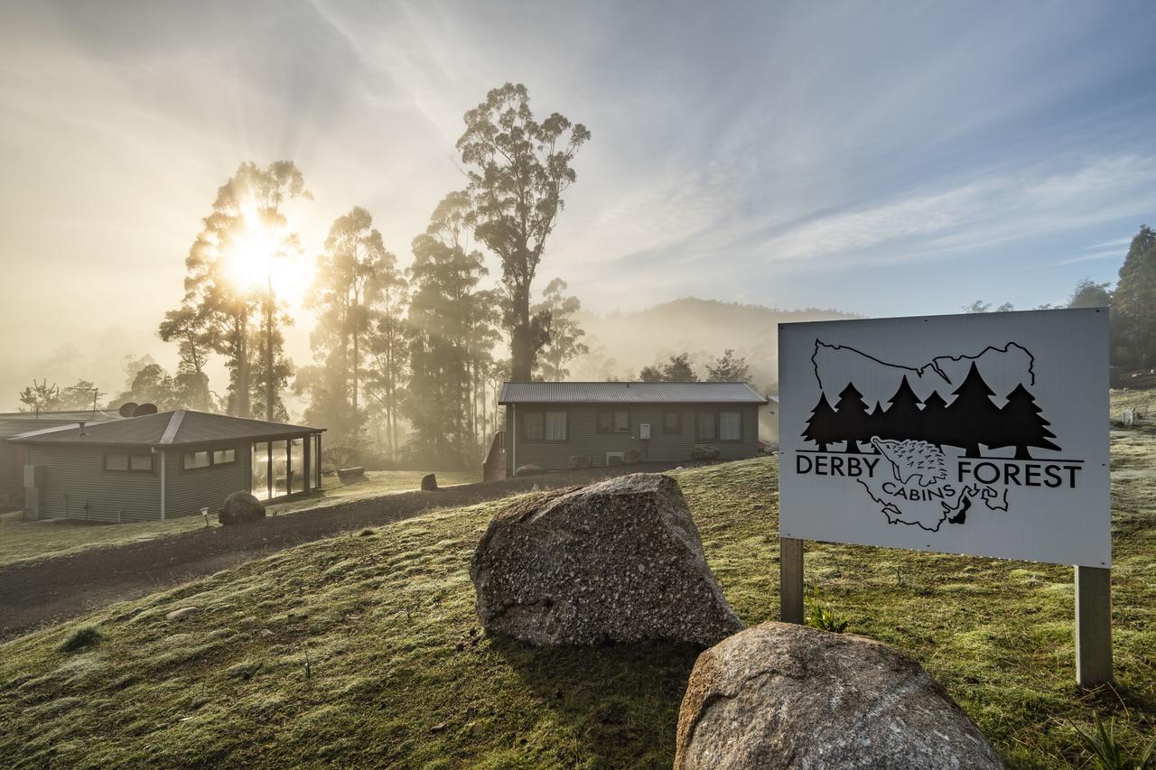 South Mount Cameron TAS Accommodation NSW