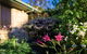Maria Views Bed & Breakfast - thumb 4