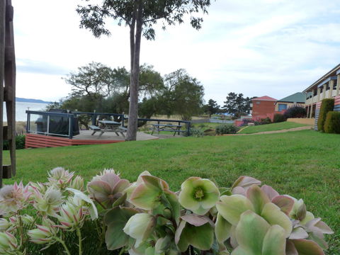 Swansea Motor Inn Tasmania - Accommodation NSW 17