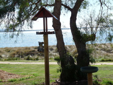 Swansea Motor Inn Tasmania - Accommodation NSW 20