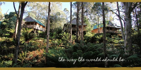 Lemonthyme Wilderness Retreat - Accommodation NSW 20