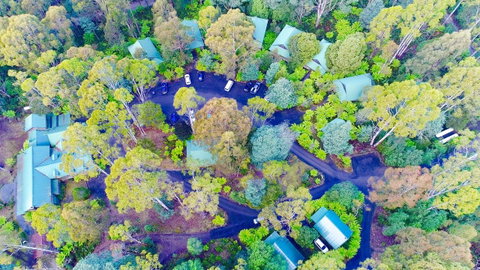 Lemonthyme Wilderness Retreat - Accommodation NSW 1