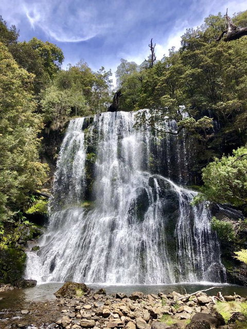 Lemonthyme Wilderness Retreat - Accommodation NSW 9