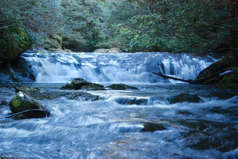 Lemonthyme Wilderness Retreat - Accommodation NSW 10