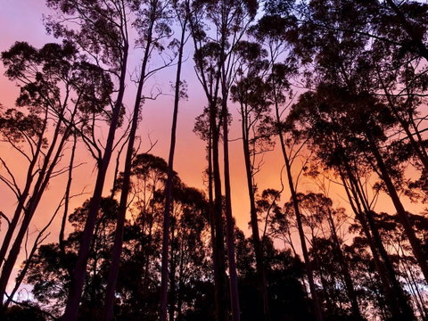 Lemonthyme Wilderness Retreat - Accommodation NSW 8
