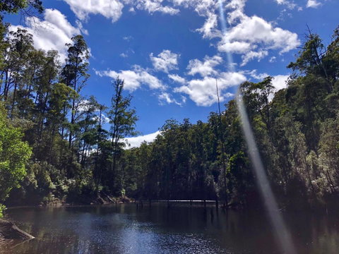 Lemonthyme Wilderness Retreat - Accommodation NSW 7