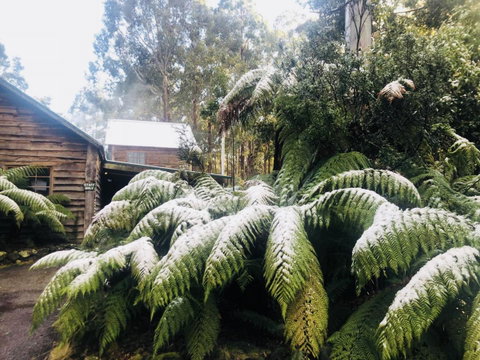 Lemonthyme Wilderness Retreat - Accommodation NSW 5
