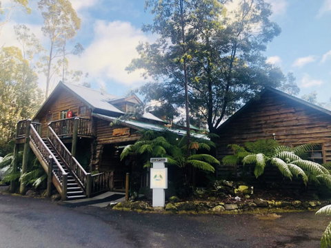 Lemonthyme Wilderness Retreat - Accommodation NSW 4