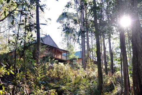 Lemonthyme Wilderness Retreat - Accommodation NSW 25