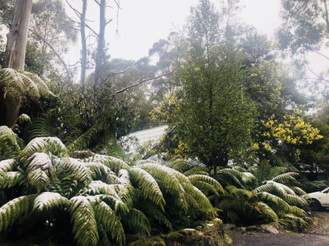 Lemonthyme Wilderness Retreat - Accommodation NSW 16