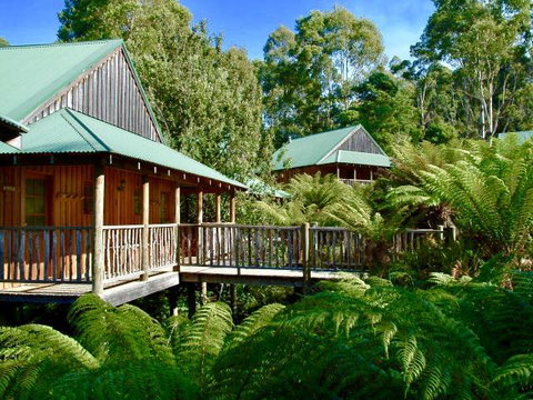 Lemonthyme Wilderness Retreat - Accommodation NSW 11