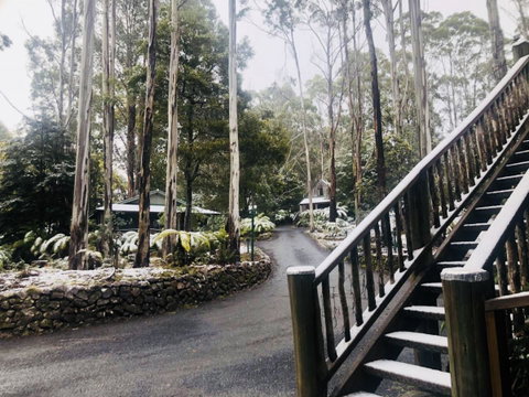 Lemonthyme Wilderness Retreat - Accommodation NSW 15
