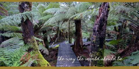 Lemonthyme Wilderness Retreat - Accommodation NSW 17