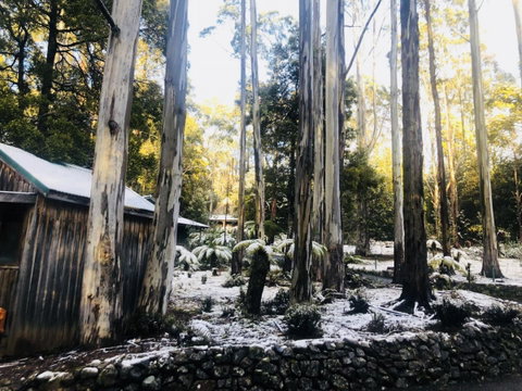 Lemonthyme Wilderness Retreat - Accommodation NSW 6