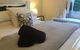 Elizaâ€™s Lovely Home - thumb 8