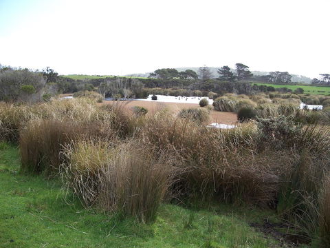 Cloudy Bay Beach House - Accommodation NSW 24