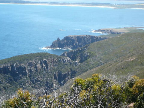 Cloudy Bay Beach House - Accommodation NSW 26