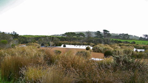 Cloudy Bay Beach House - Accommodation NSW 19