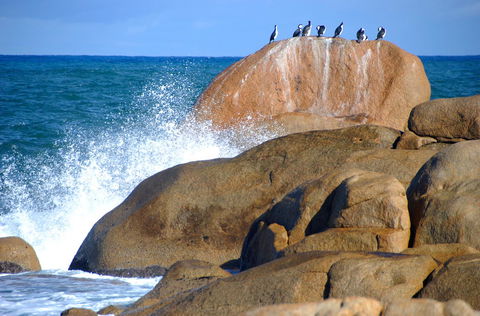 Cloudy Bay Beach House - Accommodation NSW 29