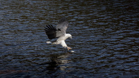 Arthur Riverfront And Sea Lodge Downstream - Accommodation NSW 38