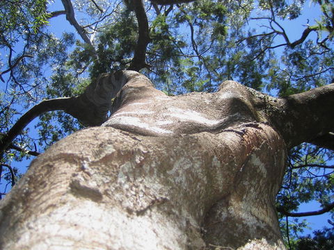 Arthur Riverfront And Sea Lodge Downstream - Accommodation NSW 32