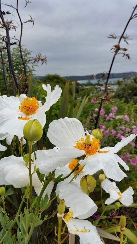 Beezneez B&B - Accommodation NSW 13