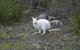 Cloudy Bay Lagoon Estate - thumb 17