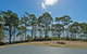 Cloudy Bay Lagoon Estate - thumb 16