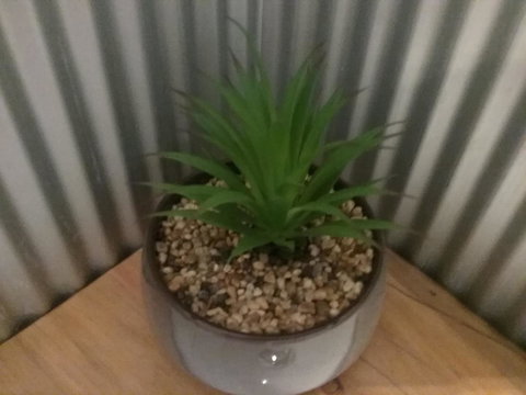 Tullah Tavern - Accommodation NSW 6