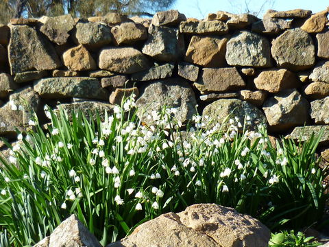 Wagners Cottages - Accommodation NSW 11