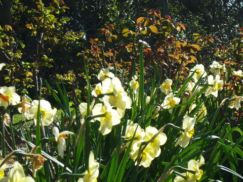 Wagners Cottages - Accommodation NSW 13
