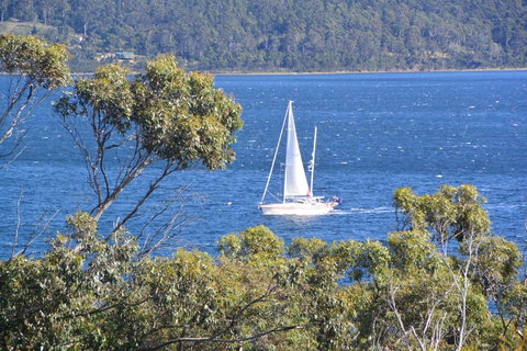 The Tree House - Accommodation NSW 5