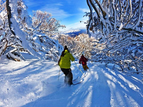 Buller Central Hotel - Accommodation NSW 13