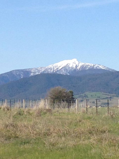 High Country Holiday Park - Accommodation NSW 34