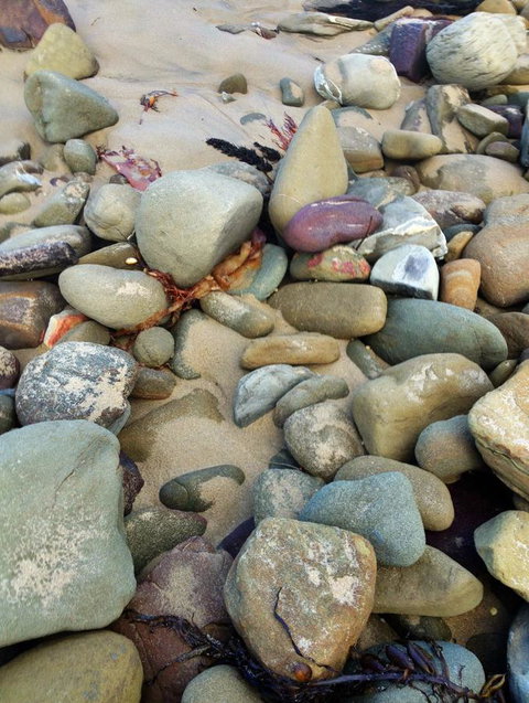 Lorne Surf Apartments - Accommodation NSW 15