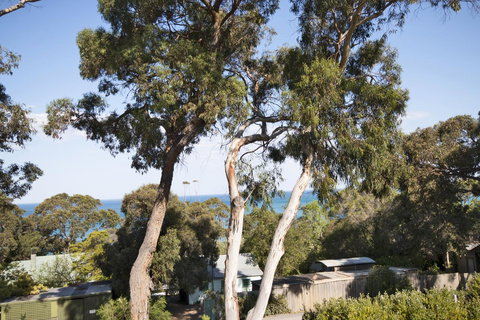 Lorne Surf Apartments - Accommodation NSW 6