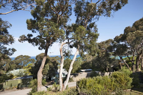 Lorne Surf Apartments - Accommodation NSW 11