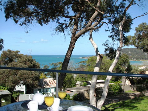 Lorne Surf Apartments - Accommodation NSW 3