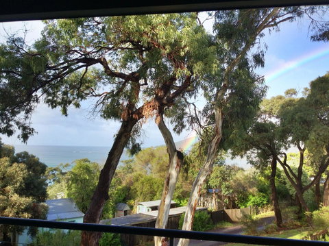 Lorne Surf Apartments - Accommodation NSW 4