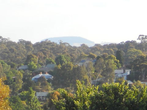 Campbell St Lodge - Accommodation NSW 27