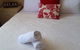 24HourCheck-In- Bridgewater Motel-Victoria-Australia - thumb 31