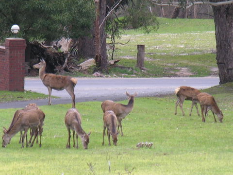 The Grampians Motel - Accommodation NSW 23