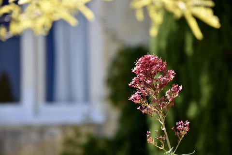 Villa Mallorca - Accommodation NSW 28