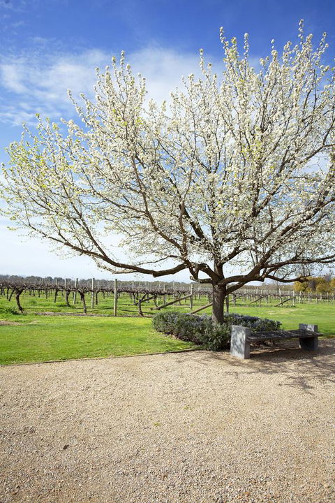 Lancemore Milawa - Accommodation NSW 12