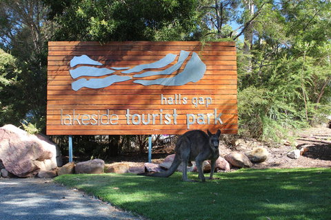 Halls Gap Lakeside Tourist Park - Accommodation NSW 3