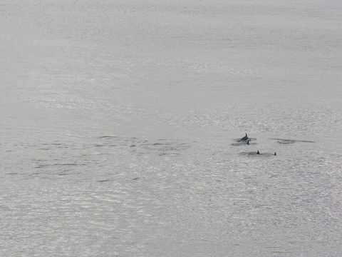 Clifftop Apartments Portland Vic - Accommodation NSW 14