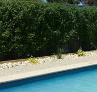 Robinvale Bridge Motel - Accommodation NSW