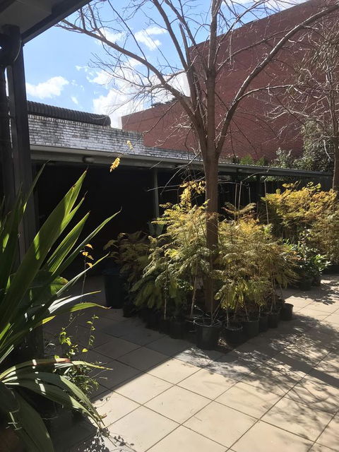 CROWN CENTRAL BUSINESS DISTRICT MOTEL - NO UNDER 18s - Accommodation NSW 15